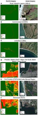 The Effects of Landscape Urbanization on the Gut Microbiome: An Exploration Into the Gut of Urban and Rural White-Crowned Sparrows